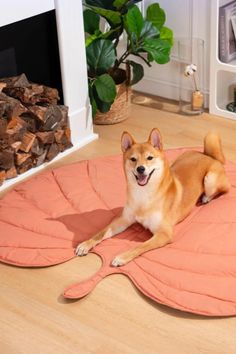 a brown dog laying on top of a pink mat in front of a fire place