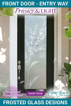 front door - entry way privacy and light frosted glass designs