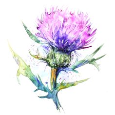 a watercolor painting of a purple flower