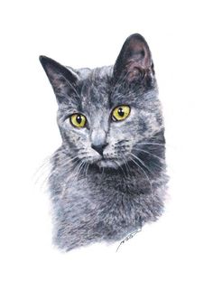 a drawing of a cat with yellow eyes