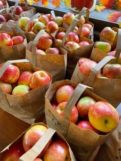 several bags filled with apples sitting on top of a table