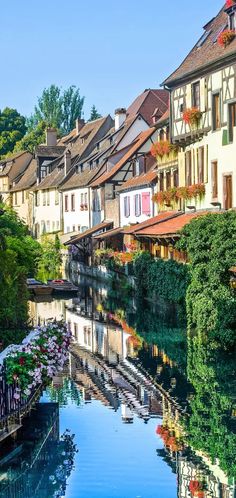 a river running through a small town with lots of buildings on the sides and flowers growing out of the windows