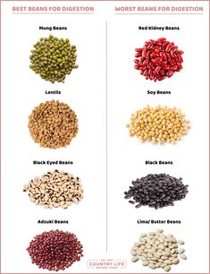 different types of beans are shown in this chart, with the names and description below