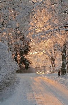 a person walking down a snow covered road next to trees and a wooden bridge in the distance