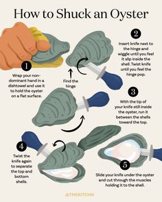 how to shuck an oyster in the water with instructions on how to use it