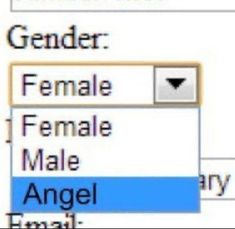 an email form is shown with the female name and male number highlighted in the box