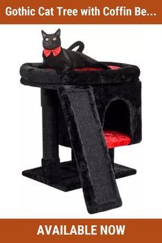 a cat sitting on top of a black cat tree with the caption's name below it