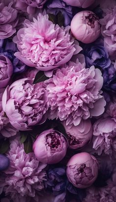 pink and purple peonies are arranged together