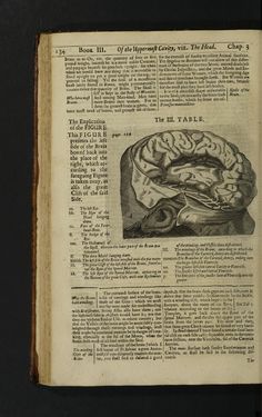 an old book opened to show the inside of a human brain, with text on it