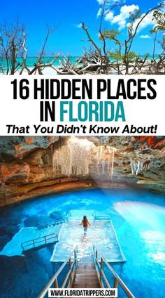 16 Hidden Places in Florida Even Locals Don't Know Florida Bucket List, Best Places In Florida, Springs In Florida, Carribean Travel, Things To Do In Florida, Florida Vacation Spots, Florida Travel Destinations, Florida Travel Guide, Florida Adventures