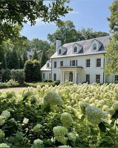 a large white house surrounded by trees and bushes