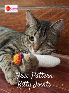 a cat playing with a toy on top of a wooden floor next to the words free pattern kitty joins