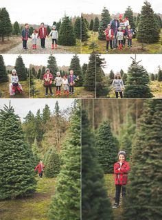 several pictures of people standing in the middle of a christmas tree lot with trees all around them