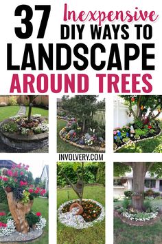 an image of landscaping around trees with text overlay that reads 37 expensive diy ways to landscape around trees