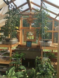 the inside of a greenhouse with lots of plants