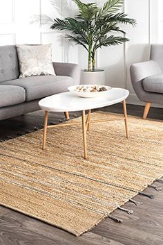 a living room with a couch, coffee table and potted plant in the corner