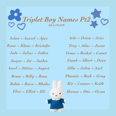 a blue poster with an image of a white rabbit holding a red heart and the words triplet boy name p2 on it