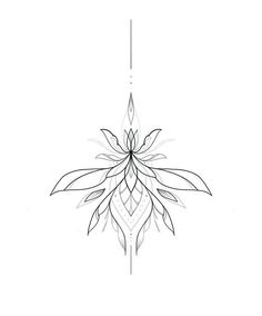 a black and white drawing of a flower on a white background, with lines in the middle