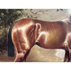 Here is a beautiful equestrian horse portrait painting by Paul Lowe (British). This original oil on canvas painting is finished in a distressed gilded wood frame and features Arkle, an Irish Thoroughbred racehorse.  · 23.5” wide x 19.5” tall x 1.25” frame depth size; 20” wide x 16” tall canvas size · Signed Paul Lowe lower left · Vintage condition: Painting has some fading and discoloration from age; wood frame has significant gesso detail loss and distressing as pictured. · Professionally packa Horse Portrait Painting, Age Wood, Modigliani Paintings, Horse Oil Painting, Thoroughbred Racehorse, Lemon Painting, Mughal Paintings, Horse Portrait, Oil On Canvas Painting