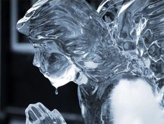 an ice sculpture is shown in black and white