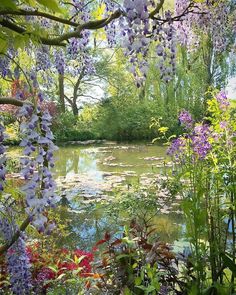 the pond is surrounded by purple flowers and trees