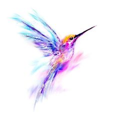 a colorful hummingbird flying through the air