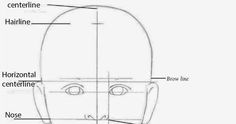 a drawing of the face and head with different parts labeled