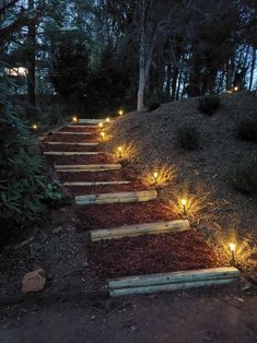 some steps lit up with lights in the woods