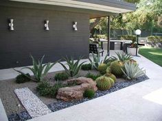 an outdoor patio with cactus and succulents in the foreground, next to a house