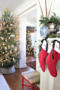 christmas stockings hung on the mantle in front of a decorated christmas tree