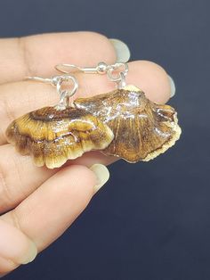 Embrace your inner mushroom mystique with one of these pairs of beautifully preserved dangle earrings! Each one has been hand-picked to best display the Turkey Tail mushrooms stunning and varied color patterns. These Turkey Tail mushrooms are sustainably foraged in our local woods, air-dried and preserved in UV resin to be enjoyed for a long time to come! Turkey Tail Mushrooms, Turkey Tail Mushroom, Turkey Tail, Mushroom Earrings, Uv Resin, Hand Picked, Color Patterns, Favorite Jewelry, Silver Fashion