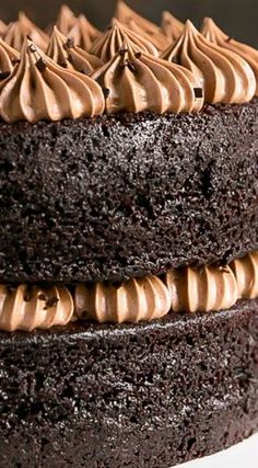 a chocolate cake with frosting on a white plate