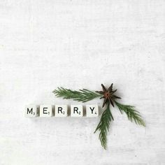 the word merry spelled with scrabbles and an evergreen branch