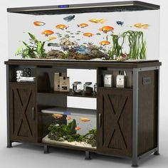 an aquarium with fish in it and plants growing out of the bottom shelf on top