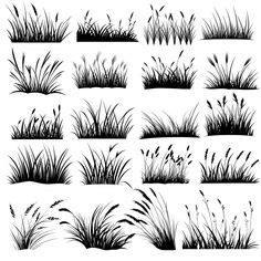 the silhouettes of different plants and grass