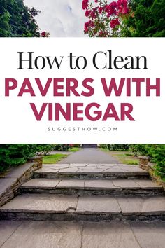 steps with text overlaying how to clean pavers with vinegar and garden plants