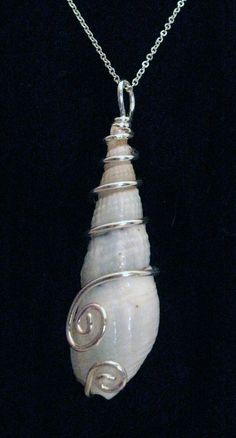 a necklace with a white shell hanging from it's side