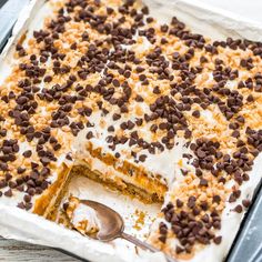 a cake with chocolate chips and cream frosting