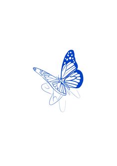 a blue butterfly flying in the sky with its wings spread out and it's tail extended