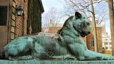 https://www.daisylimo.com/princeton_nj.html Tiger Poses, Princeton Campus, Tiger Statue, Collagraph Printmaking, Jellicle Cats, Victorian Ornaments, Black Car Service, Princeton New Jersey, Sculpture Animal