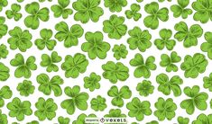 green shamrocks on white background for st patrick's day greeting card or wallpaper