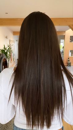 Long Hair Back View Straight, Long Haircut From Back, Thinned Ends Haircut, Straight Hair No Layers, V Cut Hair Medium, Hair Trims For Long Hair, New Jeans Hair, V Shaped Haircut With Layers, Layers On Straight Hair