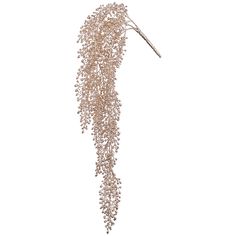 a long branch with beads hanging from it's end on a white background,