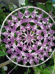 a purple crocheted doily sitting on top of green plants