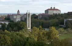 an aerial view of trees and buildings in the background