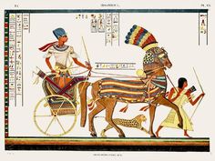 an egyptian scene with two men riding on a horse drawn carriage