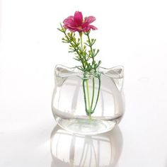 a pink flower in a clear glass vase on a white surface with reflections from the floor