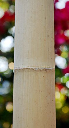 a close up of a wooden pole with blurry trees in the background