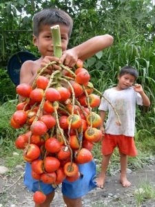 a boy holding up a bunch of fruit in front of him and another boy behind him