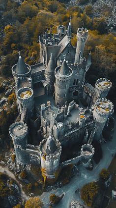 an aerial view of a castle in the middle of trees and bushes with yellow leaves